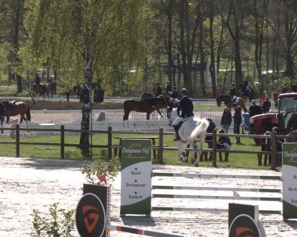 Reitturnier Westergellersen 2024