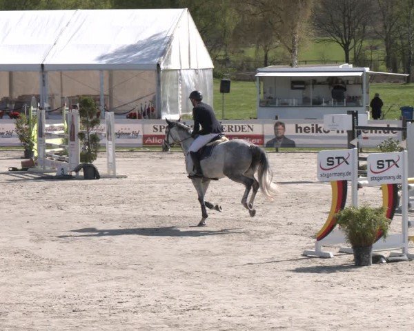 Reitturnier Westergellersen 2024