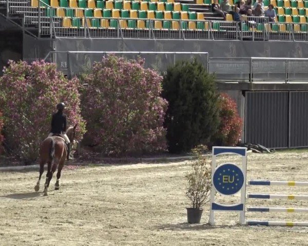 Reitturnier St. Margarethen 2024