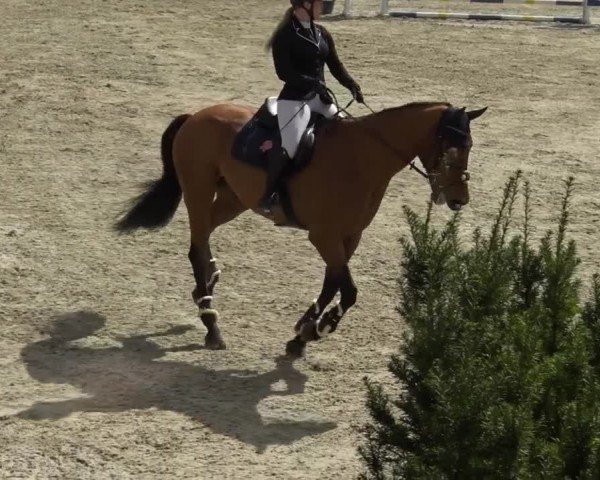 Reitturnier St. Margarethen 2024