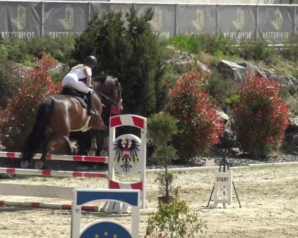 Reitturnier St. Margarethen 2024
