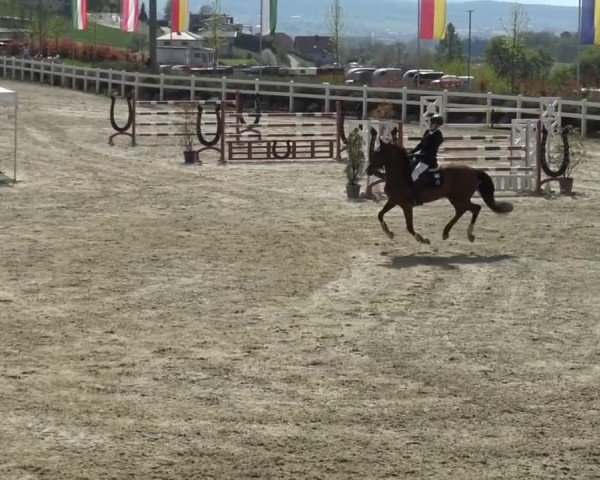 Reitturnier St. Margarethen 2024