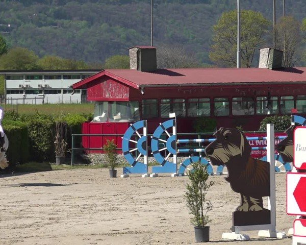 Reitturnier Giubiasco 2024