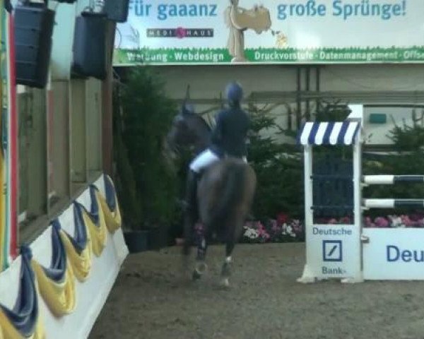20. Grosses Hallen Springturnier in Vreden