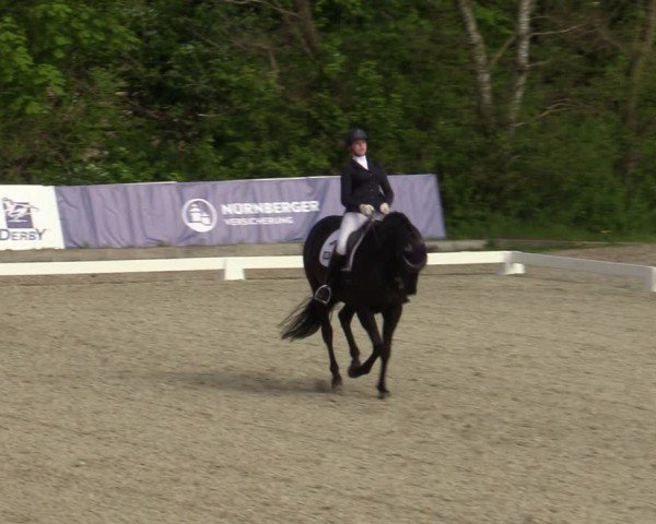 Reitturnier Elmlohe 2024