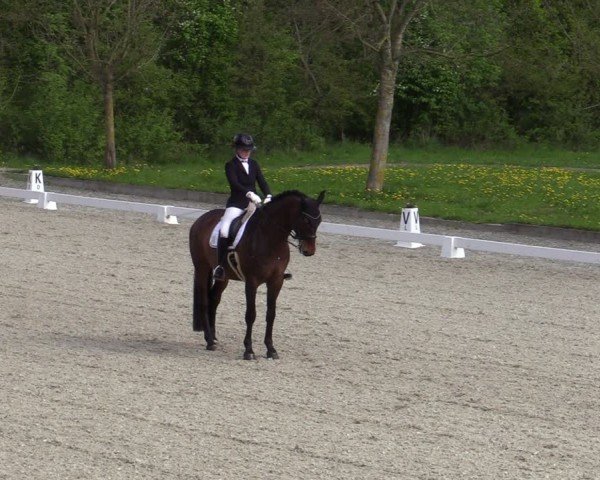 Reitturnier Elmlohe 2024