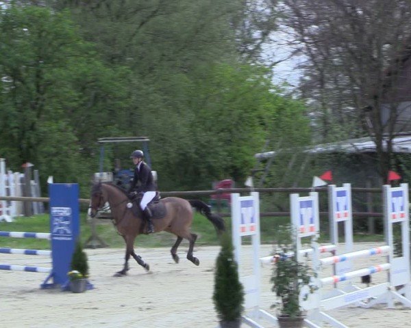 Reitturnier Marienheide-Kempershöhe 2024