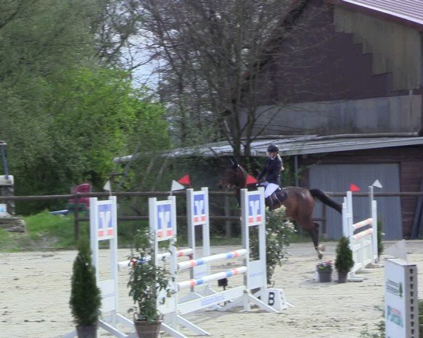 Reitturnier Marienheide-Kempershöhe 2024
