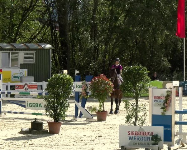 Reitturnier Isny-Rohrdorf 2021