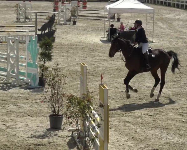 Reitturnier St. Margarethen 2024