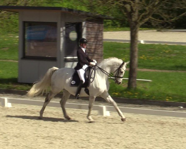 Reitturnier Elmlohe 2024