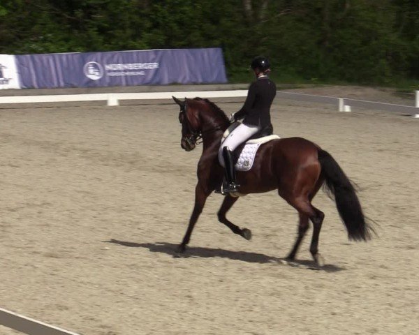 Reitturnier Elmlohe 2024