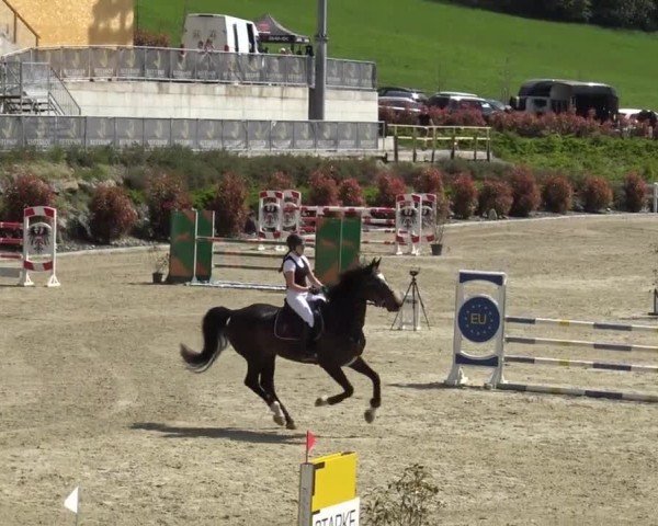 Reitturnier St. Margarethen 2024