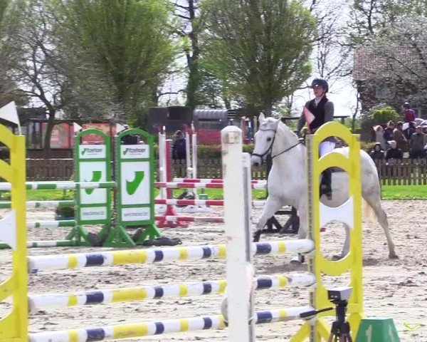 Reitturnier Breiholz "Am Moltkestein" 2024