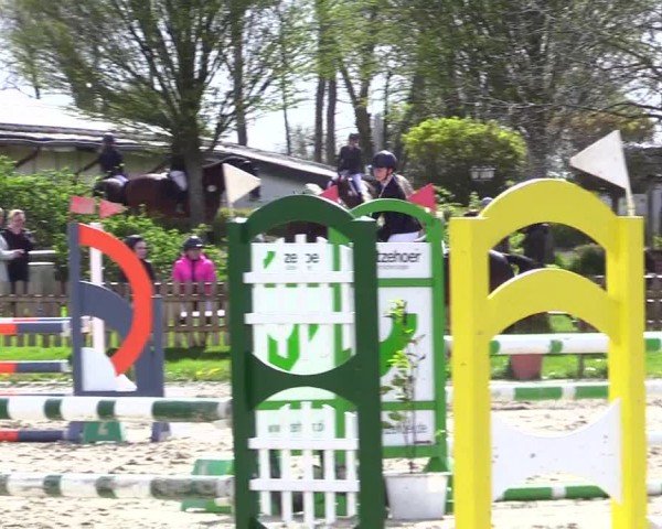 Reitturnier Breiholz "Am Moltkestein" 2024