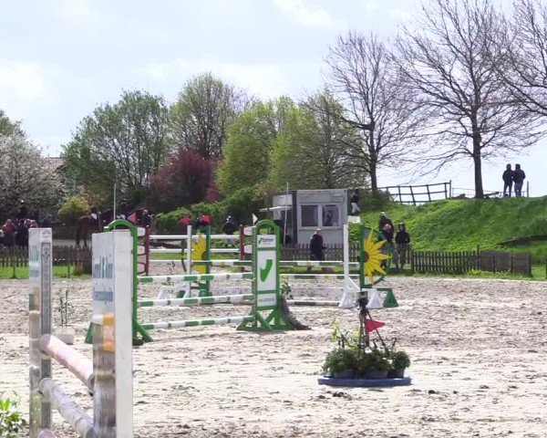 Reitturnier Breiholz "Am Moltkestein" 2024