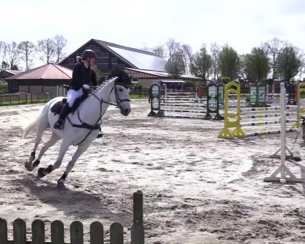 Reitturnier Breiholz "Am Moltkestein" 2024