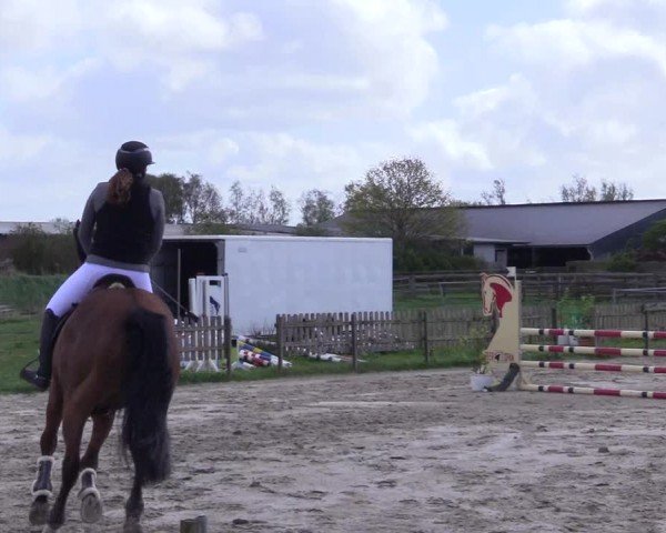Reitturnier Breiholz "Am Moltkestein" 2024