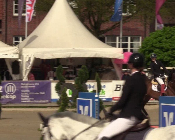 Reitturnier Werne-Lenklar 2024