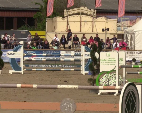 Reitturnier Werne-Lenklar 2024