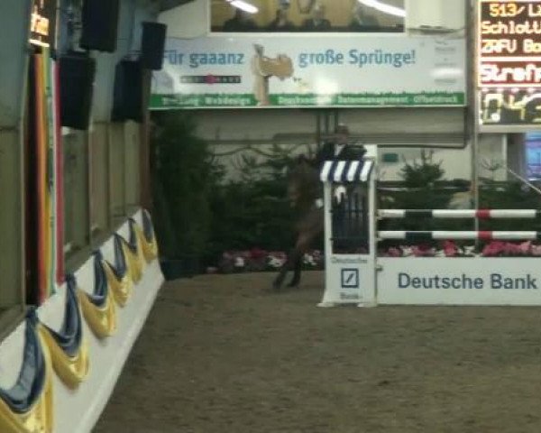 20. Grosses Hallen Springturnier in Vreden