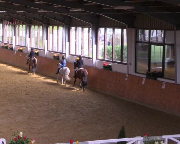 Reitturnier Werne-Lenklar 2024