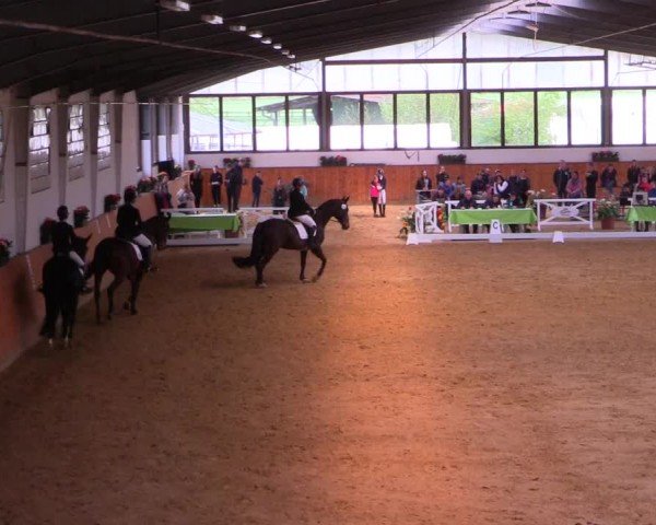 Reitturnier Werne-Lenklar 2024
