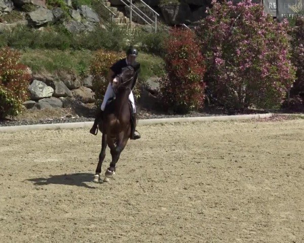 Reitturnier St. Margarethen 2024