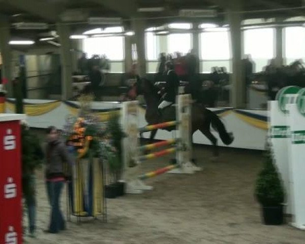 20. Grosses Hallen Springturnier in Vreden