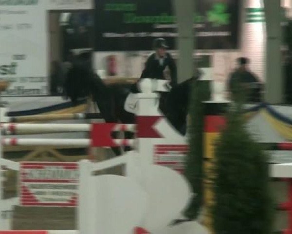 20. Grosses Hallen Springturnier in Vreden