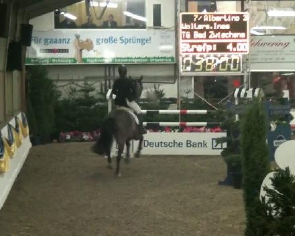 20. Grosses Hallen Springturnier in Vreden