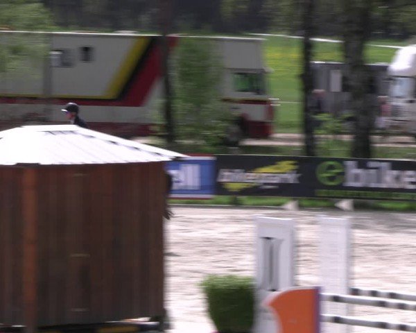 Reitturnier Westergellersen 2024