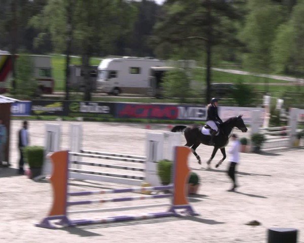 Reitturnier Westergellersen 2024