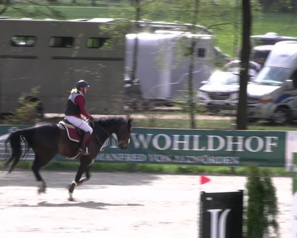Reitturnier Westergellersen 2024