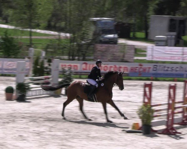 Reitturnier Westergellersen 2024