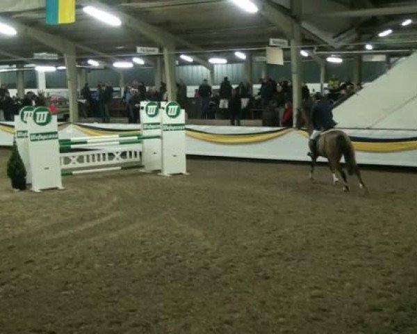 20. Grosses Hallen Springturnier in Vreden