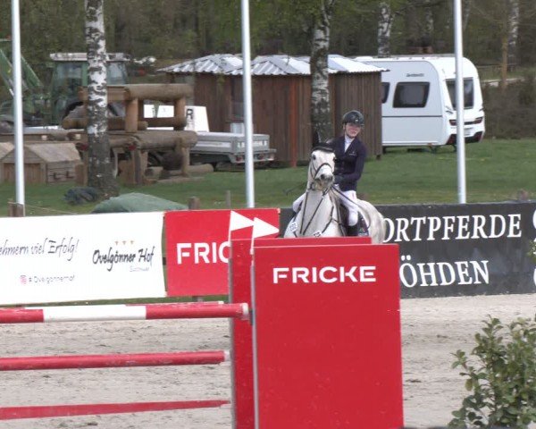 Reitturnier Westergellersen 2024