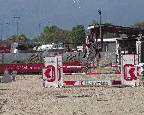 Reitturnier Giubiasco 2024