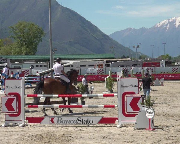 Reitturnier Giubiasco 2024