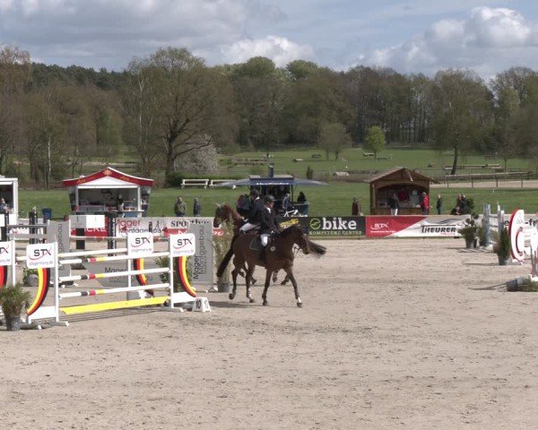 Reitturnier Westergellersen 2024