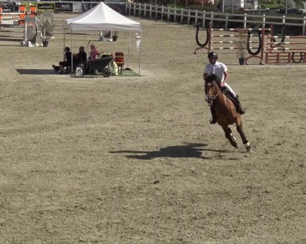 Reitturnier St. Margarethen 2024