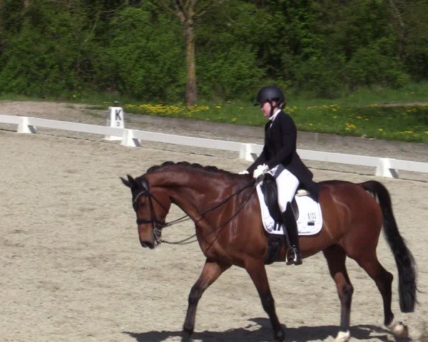 Reitturnier Elmlohe 2024