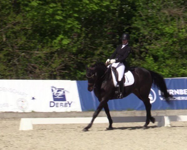 Reitturnier Elmlohe 2024