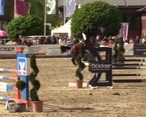 Lenklarer Reitertage Werne 2024