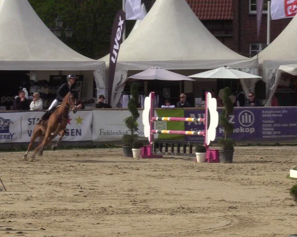 Lenklarer Reitertage Werne 2024