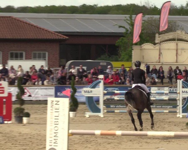 Lenklarer Reitertage Werne 2024