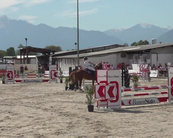Reitturnier Giubiasco 2024