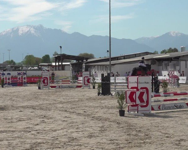 Reitturnier Giubiasco 2024