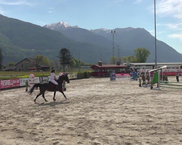 Reitturnier Giubiasco 2024