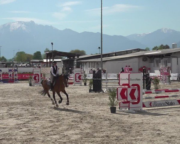 Reitturnier Giubiasco 2024